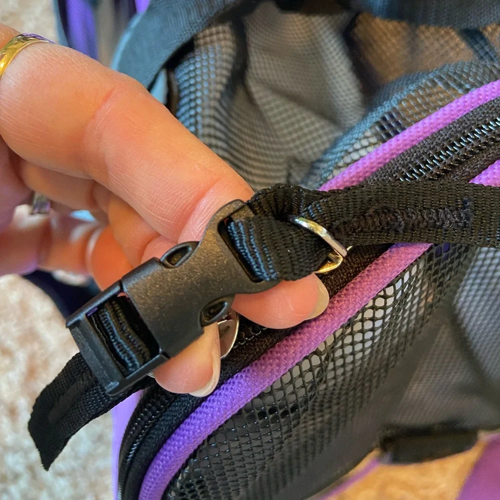 Paws & Pals Pet Travel Case